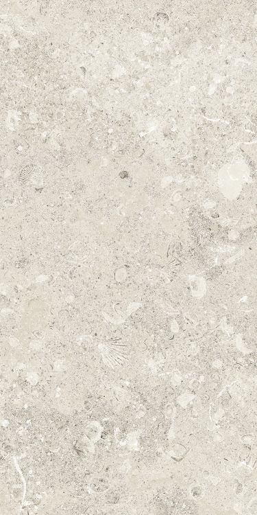 Sea Luster Avorio Matte 12 x 24